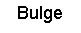 Text Box: Bulge
